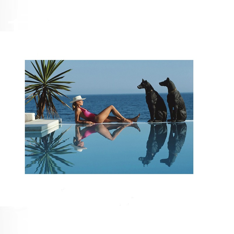 Retro Havuz Kenarı Host Lüks Y - Luxury Lifestyle Picture incelemesi ve fiyatı